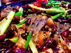 鮰鱼-老板恋上鱼(恒隆广场店)