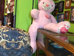 -小娘惹厨房Little Nyonya(狮城有约上榜店)