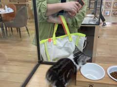 -袖虎猫馆(十亩地店)