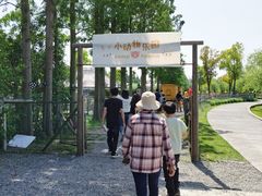 -前小桔亲子创意农场·草莓采摘·露营烧烤