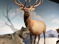 -陕西自然博物馆