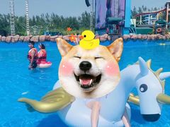 -郑州方特水上乐园