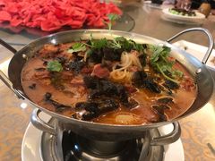 -商都酒店( 北京南站店)