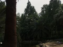 -苏州河梦清园环保主题公园