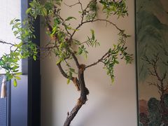 -潮上潮(南中环店)