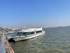 -春花秋色城市公园