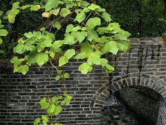 -虞山城墙