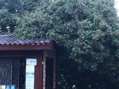 -张坝桂圆林公园