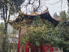 -西安碑林博物馆