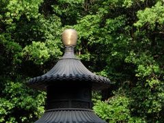-虎跑公园
