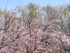 -白塘生态植物园