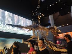 -贝林大翅鲸简餐厅(国家海洋博物馆店)