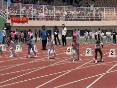 -青岛大学路小学