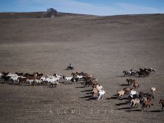 -塞罕坝国家级自然保护区