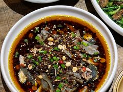 -铁公鸡·四川料理(天环广场店)