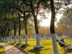 -天鹅湖体育公园