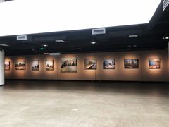 -天津美术学院-校史馆