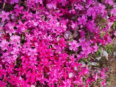 -乐悠游亲子游泳俱乐部