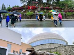 -自贡恐龙博物馆