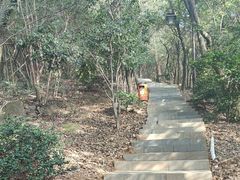 -杭州半山国家森林公园