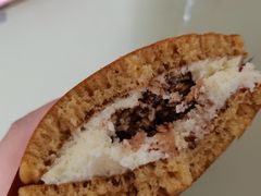 椰子脆脆-泽田本家·铜锣烧(TX淮海店)