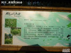 -紫竹院公园冰场