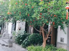 -鲤院·新中式美学·庭院餐厅(夫子庙店)