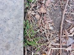 -长春公园(普阳街道)