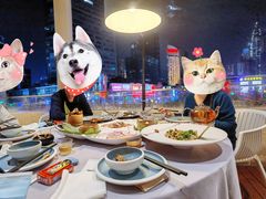 -梧桐北京烤鸭·铜锅涮肉(海岸城店)