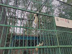-秦皇岛野生动物园