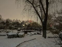 -莲花池公园