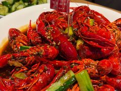 -杨氏青龙虾·羊蝎子(托乐嘉店)