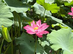 -莲池书院博物馆