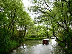 -西溪国家湿地公园