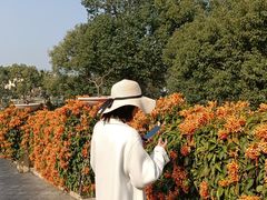 -厦门帝元维多利亚大酒店(环岛路黄厝海滩店)