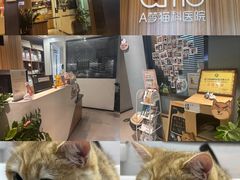 -御宝贝·A梦猫科宠物医院(国际猫友好医院)