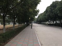 -南京理工大学紫金学院