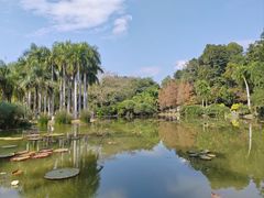 -中国科学院西双版纳热带植物园