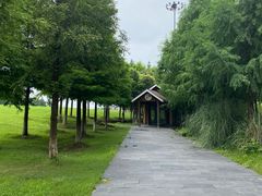 -太湖湖滨国家湿地公园-停车场