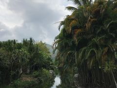 -三亚亚龙湾雅高铂尔曼别墅度假酒店