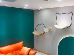 -飞行喵MR PILOT|猫舍·猫咖(静安大融城店)