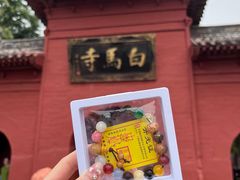 -洛阳白马寺
