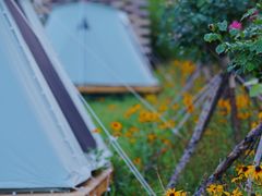 -禅宗少林·音乐大典