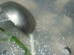 -黔蘑菇四季餐厅(观山湖店)