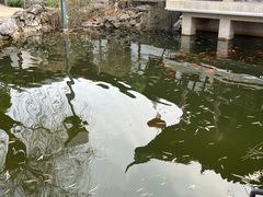 -常熟方塔园