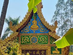 -曼听御花园