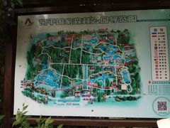 -崇明东平国家森林公园烧烤房车露营地