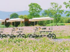 -良渚古城遗址公园