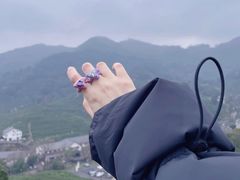 -龙坞茶村