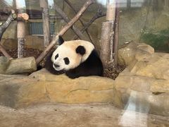 -成都绿洲大酒店(春熙路太古里店)